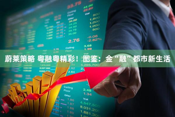 蔚莱策略 粤融粤精彩！图鉴：金“融”都市新生活