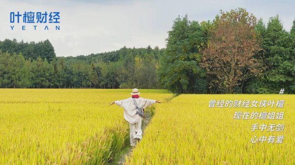 中期国际 再快的镰刀，也快不过他