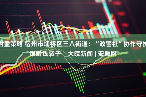 财盈策略 宿州市埇桥区三八街道：“政警社”协作守护银龄钱袋子  _大皖新闻 | 安徽网