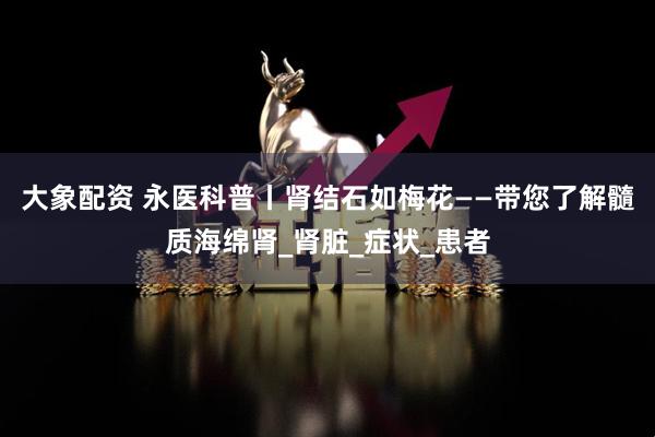 大象配资 永医科普丨肾结石如梅花——带您了解髓质海绵肾_肾脏_症状_患者