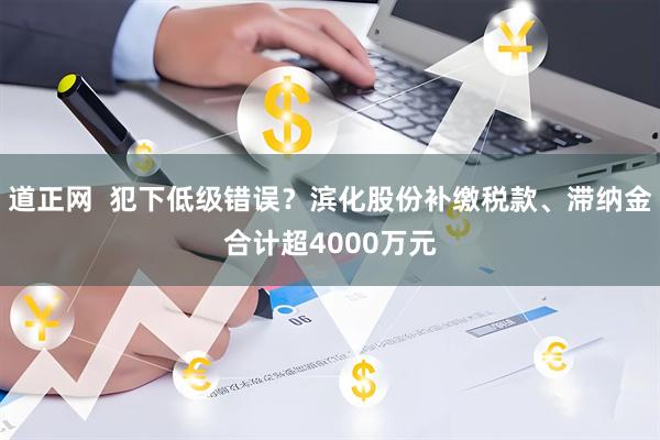 道正网  犯下低级错误？滨化股份补缴税款、滞纳金合计超4000万元